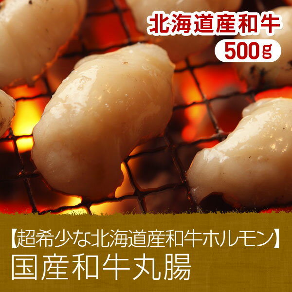 【28％OFF】【超希少な 北海道産 和牛 ホルモン】国産 和牛 丸腸 500g==(焼肉 肉 焼き肉 バーベキュー BBQ お中元 御中元)