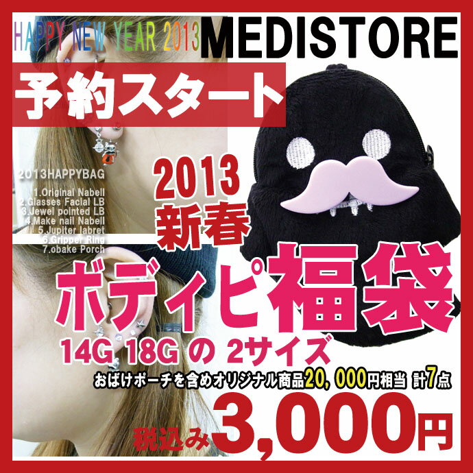 ★楽天ランキング入賞★2013年ボディピアス福袋14G/18Gナンコツ・みみたぶ用20000円相当入って3000円！予約特典送料無料！20000円相当6点入って3000円！オリジナルBag入り