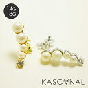 KASCANAL(JXJi) Gradient Rich 4Pearl() / CG[S[h \fUC 납猩Ă {fBsAX 14g 18g fB[X {fB[sAX l  Ă΂ l JXJ sAX ςȂ (lR|XOK) 3980~ȏ    