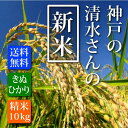 【送料無料】新米29年産 きぬひかり 神戸の清水さ