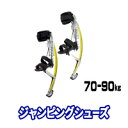 飛んでるみたい!新感覚のスポーツだ!ジャンピングシューズ【NEW スカイランナー】70-90k用SkyRunner