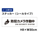 防犯カメラ作動中 24H SECURITY SYSTEM ピクト表示 /H8×W30cm ステッカー 看板ステッカー 商品番号:ATT-005sty