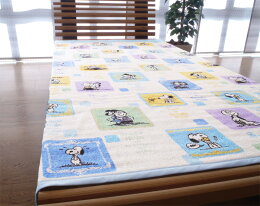 西川リビングスヌーピー(SNOOPY)マイヤータオルケット(SP162)(日本製)