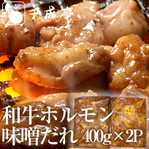 【送料無料】和牛ホルモン[てっちゃん・アカセン]味噌ダレ400g×2P