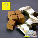 【送料無料 ※北海道 別途送料800円】生チョコ仕立てチョコ...