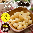 【お試し送料無料】マカダミアナッツ&チーズ 100g 【メー...