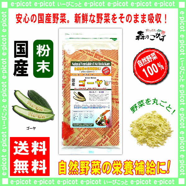 【送料無料】 国産 ゴーヤ粉末 (100g)[やさいパウダー100％] 野菜ジュースの素 ■ 国産 野菜粉末 (苦瓜) ニガウリ 森のこかげ 健やかハウス