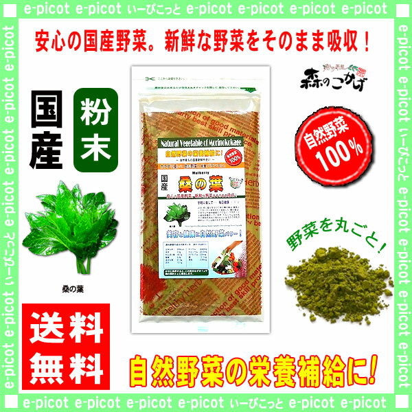 【送料無料】国産桑の葉粉末(100g)[やさいパウダー100％]野菜ジュースの素■国産野菜粉末