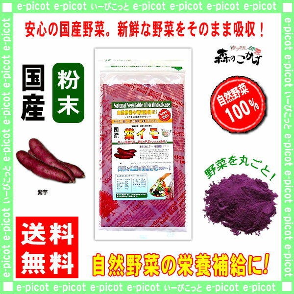 【3品以上ご購入でお得商品】国産紫イモ粉末（100g）[やさいパウダー100％]野菜ジュースの素■国産野菜粉末