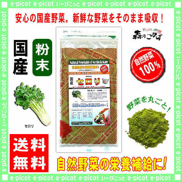 【送料無料】 国産 セロリ粉末 (100g)[やさいパウダー100％] 野菜ジュースの素 ■ 国産 野菜粉末☆日テレ 「世界一受けたい授業」 で放送！ 森のこかげ 健やかハウス