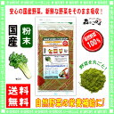 【送料無料】 国産 セロリ粉末 (100g)[やさいパウダー...