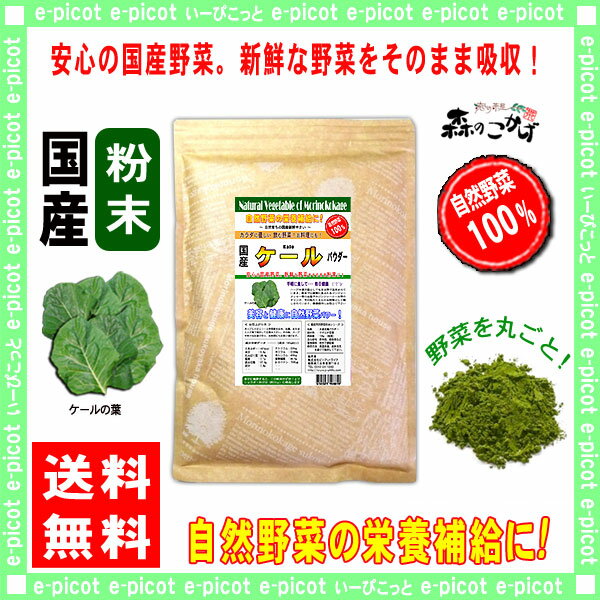 【送料無料】 国産 ケール粉末 業務用 ★(500g)[やさいパウダー100％] 野菜ジュ…...:e-picot:10000871