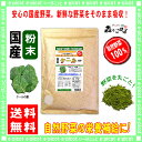 【送料無料】 国産 ケール粉末 業務用 ★(500g)[やさ...