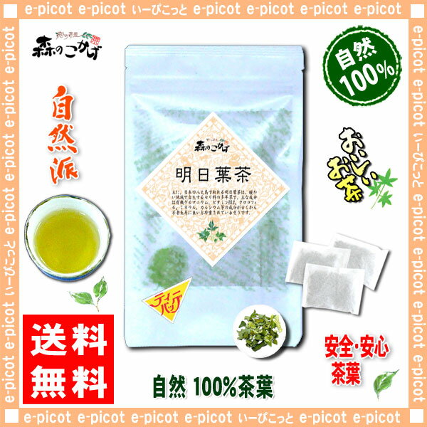 【送料無料】明日葉茶（2g×20p）「ティーバッグ」≪アシタバ茶100％≫（）