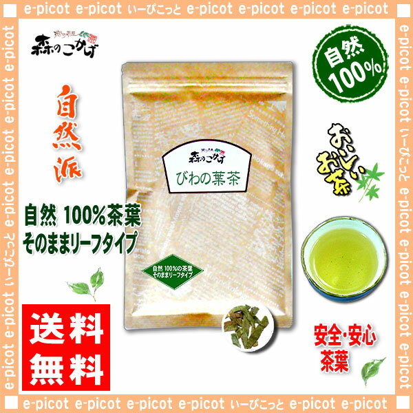 【送料無料】びわ茶（80g）（枇杷茶）（）