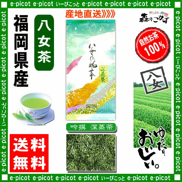 【送料無料】吟撰深蒸茶（100g）≪八女茶≫◇福岡（）