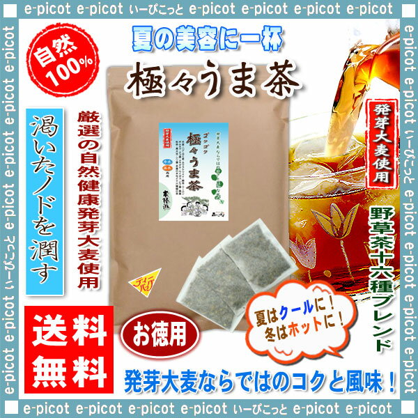 【送料無料】 発芽麦使用高級健康茶 “ 極々うま茶 ” (10g×30p)「ティーバッグ」…...:e-picot:10000742