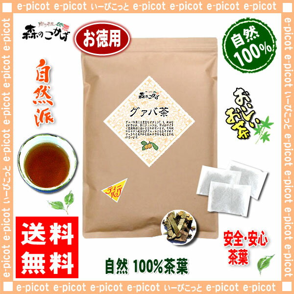 【お徳用TB送料無料】グァバ茶（2g×100p）「ティーバッグ」≪ガバ茶100％≫グアバシジュウム茶（）