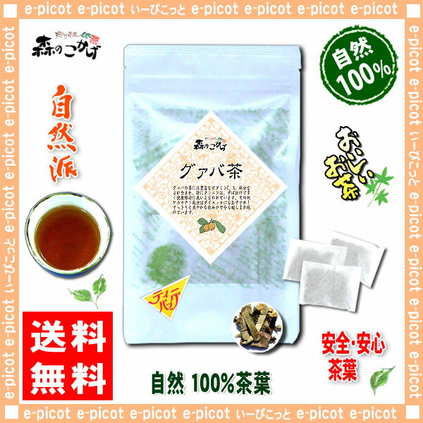 【訳あり】グァバ茶（2g×20p）「ティーバッグ」≪ガバ茶100％≫グアバシジュウム茶（賞味期限2012年10月11日）