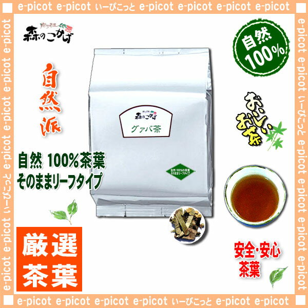 【業務用健康茶】グァバ茶（1kg）＜お徳用＞◎ぐぁば100％シジュウム茶（グアバ茶）G1