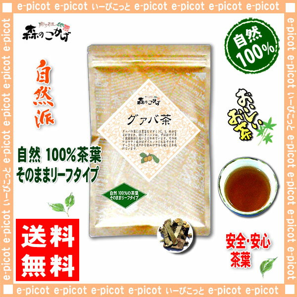 【送料無料】グァバ茶（80g）≪ガバ茶100％≫グアバ茶（）