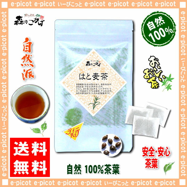 【送料無料】ハトムギ茶(4g×15p)「ティーバッグ」≪はと麦茶100％≫鳩麦茶（）STB