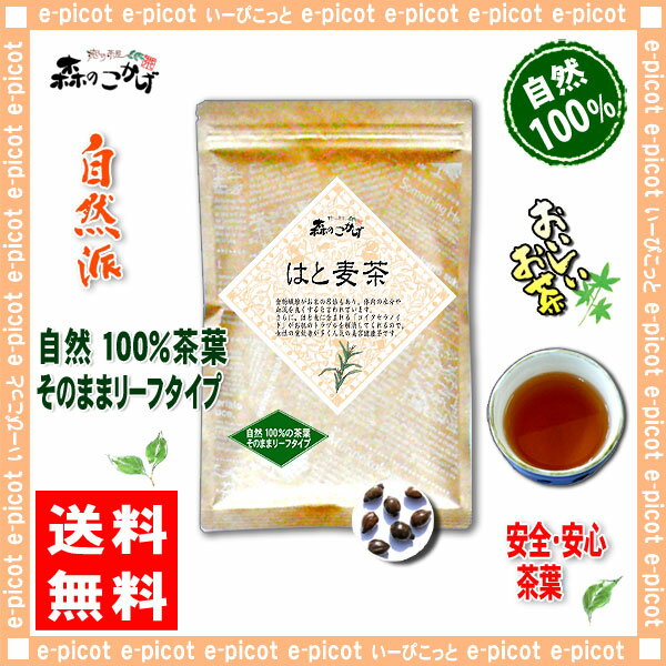 【送料無料】ハトムギ茶（200g）≪はとむぎ茶100％≫鳩麦茶（）SD