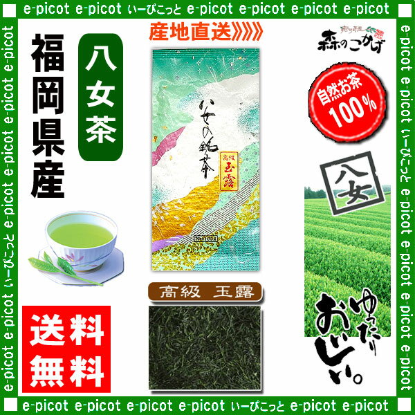 【送料無料】高級玉露茶（100g）≪八女茶≫◇福岡（）