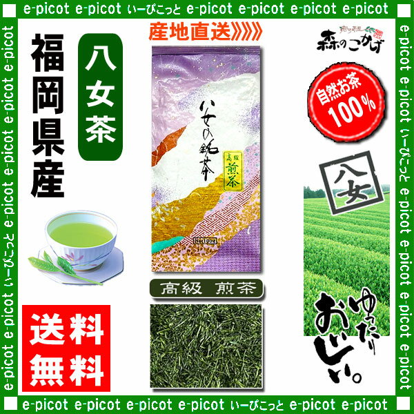 【送料無料】高級煎茶（100g）≪八女茶≫◇福岡（）