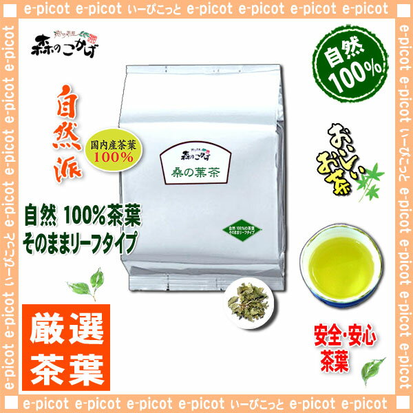 【業務用健康茶】桑葉茶（1kg）＜お徳用＞◇桑の葉茶