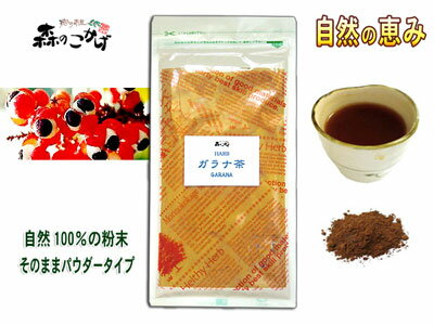【送料無料】男のガラナ茶（100g入）ピュア100％（粉末）