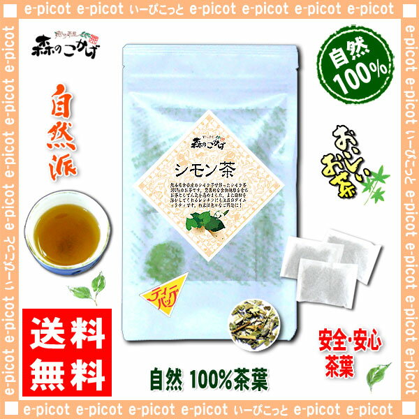 【送料無料】シモン茶(2g×20p)「ティーバッグ」≪しもん茶100％≫倉岳産（）