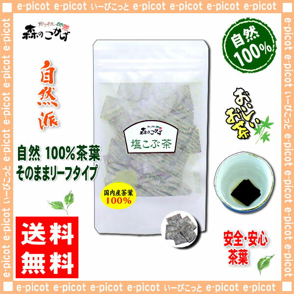 【送料無料】塩こんぶ茶（120g）≪塩こぶ茶100％≫塩昆布茶（）SD