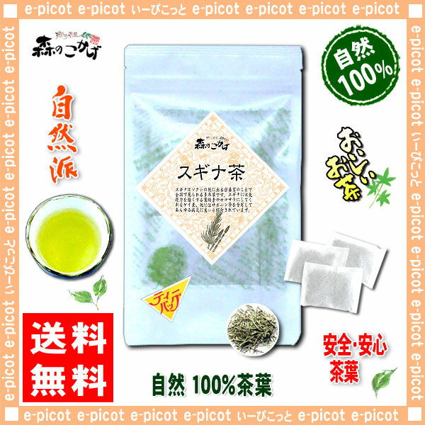 【送料無料】スギナ茶（3g×15p）「ティーバッグ」≪すぎな茶100％≫杉菜茶（）