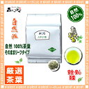 【業務用健康茶】スギナ茶（1kg）＜お徳用＞◎すぎな茶100％（杉菜茶）