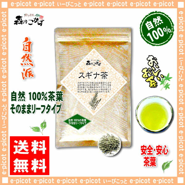 【送料無料】スギナ茶（60g）≪すぎな茶100％≫杉菜茶（）