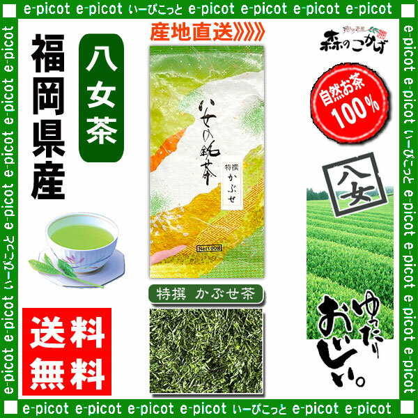 【送料無料】特選かぶせ茶（100g）≪八女茶≫◇福岡（）