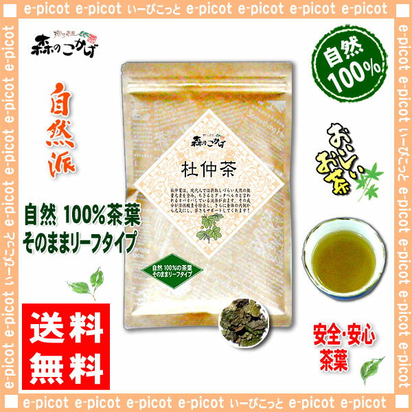 【送料無料】杜仲茶（100g）≪とちゅう茶100％≫トチュウ茶（）SD
