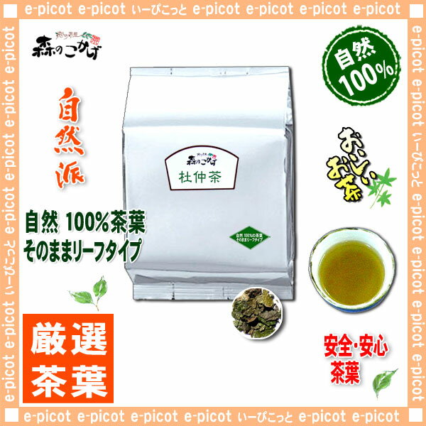 【業務用健康茶】杜仲茶（1kg）＜お徳用＞◎杜仲茶100％（トチュウ茶）G1