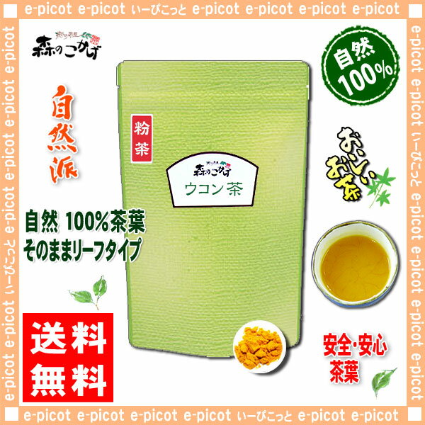 【送料無料】ウコン茶[粉末]（100g）（）