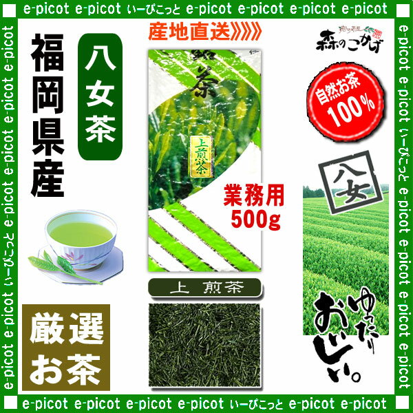 【八女茶業務用】上煎茶[500g]お徳用の厳選日本茶≪八女茶≫