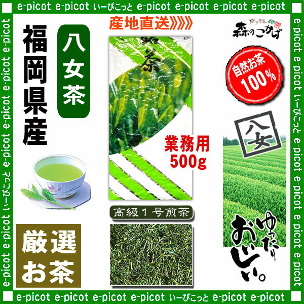 【八女茶業務用】高級1号煎茶[500g]お徳用の厳選日本茶≪八女茶≫福岡県八女茶■