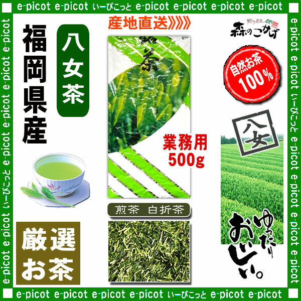 【八女茶業務用】煎茶白折茶（茎茶）[500g]お徳用の厳選日本茶≪八女茶≫