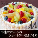 7種のフルーツのショートケーキMサイズ(約16cm)【誕生日ケーキ バースデーケーキ サ