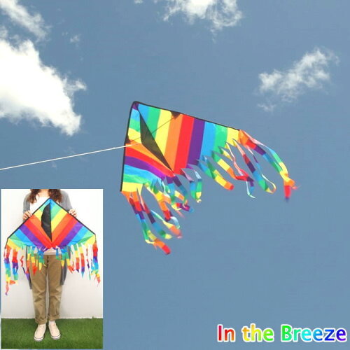 カイト 凧 スポーツ 外遊び おもちゃ 玩具 凧揚げ 凧上げ アウトドア レジャー ピクニック 公園 キャンプ キッズ スポーツトイ スカイスポーツ Kite たこ タコ In The Breeze 3178 デルタカイト レインボー32 定形外郵便送料無料 日本代購流行生活代購館 Myjp