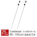 【11月上旬入荷予定】【メタルラック カテゴリ】ポール径25...