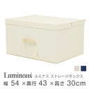 【メタルラック ランキング入賞】スチールラックと相性抜群♪ルミナス 収納BOX 収納ボックス 白 ホワイトルミナス正規品 フタ付き 収納ボックスストレージボックス LSB5443HIV アイボリー 深型 幅54×奥行43×高さ30cm