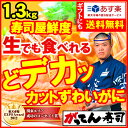 【只今営業中　送料無料】蟹市場に革命宣言！かに/寿司屋のカニは鮮度が違う　どデカッのカットずわいがに1.3kg(3~4人前)ズワイガニ【送料無料】かに鍋/ かにしゃぶ/カニしゃぶ/蟹しゃぶ/カニ刺身/焼きガニ/ギフト/海鮮【複数購入割引2】rdc/がってん寿司