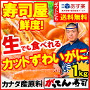 【あす楽出荷可能】2個買いで500円引き!【送料無料】寿司屋のカニは鮮度が違う!カナダ産原料のカットずわいがに1.0kg(2~3人前)かに/御歳暮 ギフト/ずわい蟹/ズワイガニ【あす楽】カニ刺身/蟹/かにしゃぶ/鍋/ポーション/むき身/焼きがに/【複数購入割引1】rdc/がってん寿司 - カニとマグロの『がってん寿司』