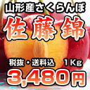 ワケありの佐藤錦☆本場の山形産☆規格外☆店頭に並ばない☆ご家庭でお楽しみください☆さくらんぼの王様☆佐藤錦をワケあり大特価にてご案内いたします。☆産地直送のため、代引き日時指定はできません。お届けは6月下旬以降となります。624